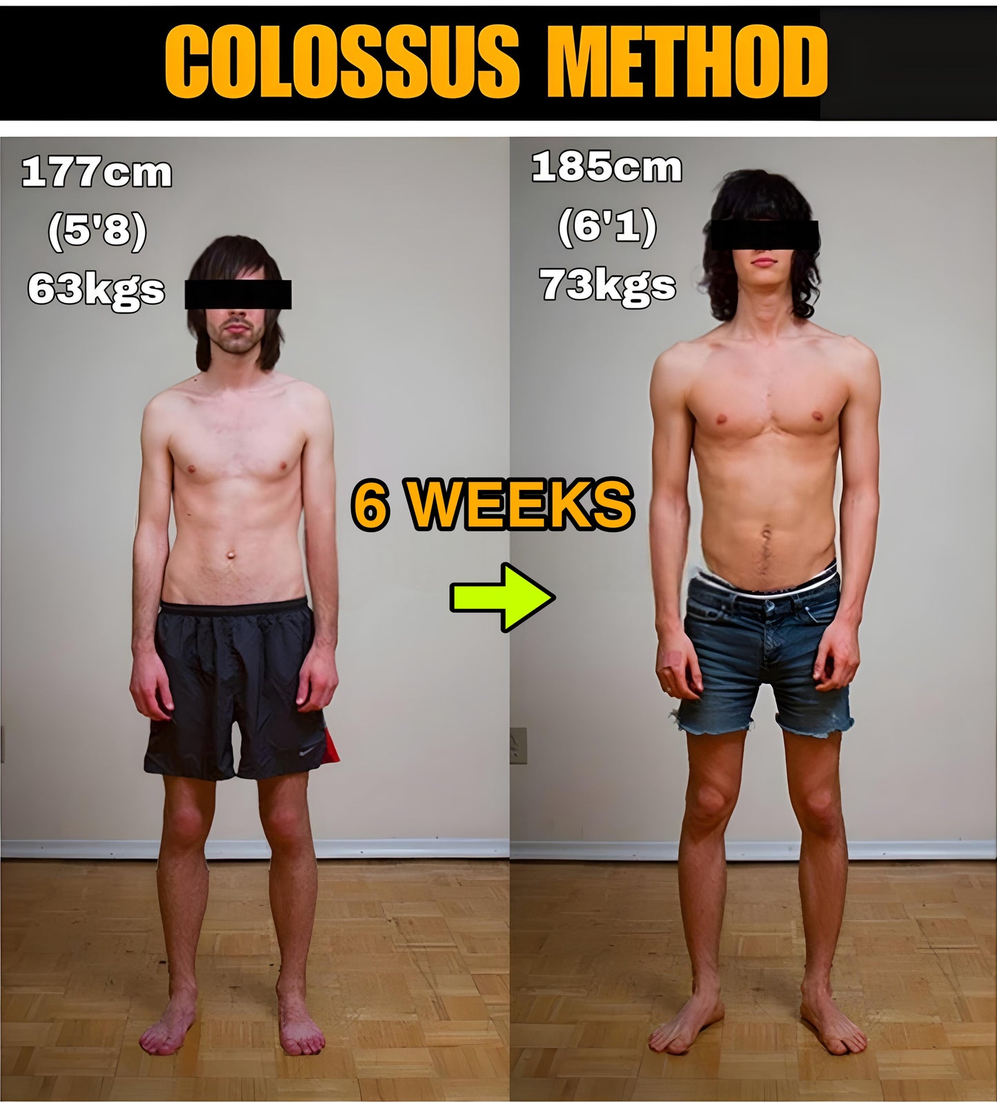 Colossus Method eBook